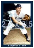 Harry Byrd - 1954 New York Yankees - choose a size & style