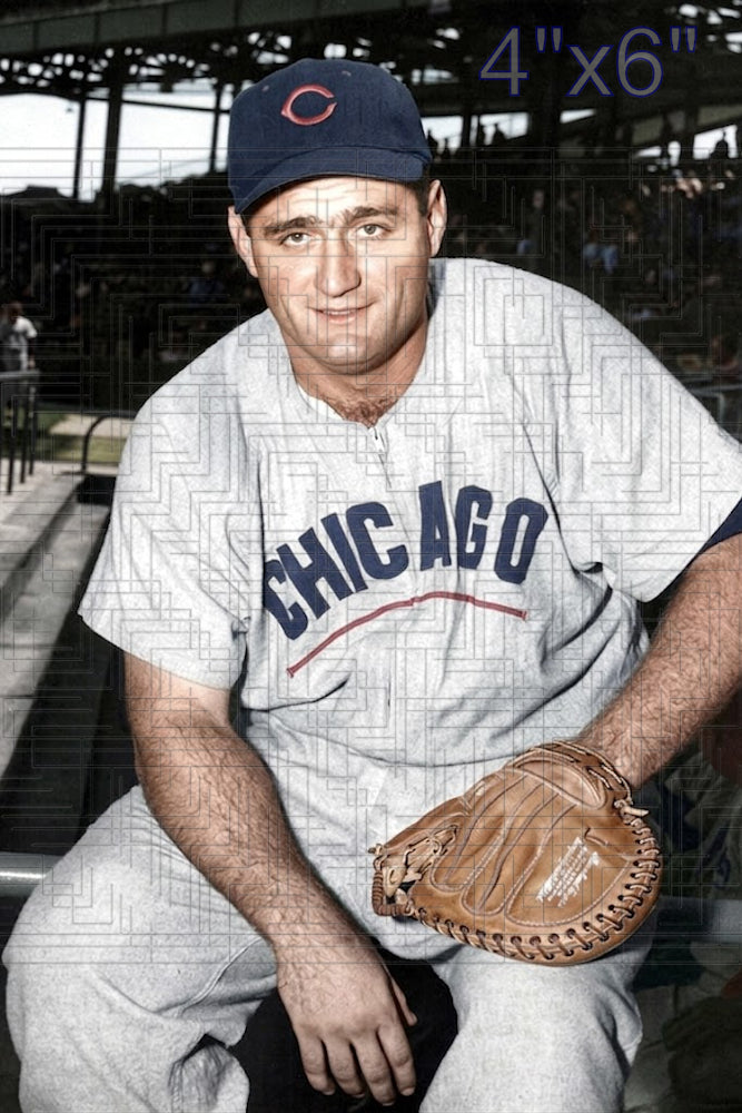 Harry Chiti - 1956 Chicago Cubs - choose a size & style
