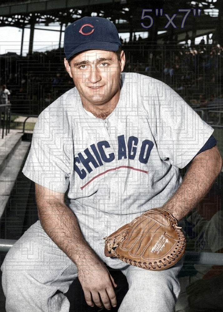 Harry Chiti - 1956 Chicago Cubs - choose a size & style