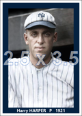 Harry Harper - 1921 New York Yankees - choose a size & style