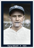 Harry Kelley - 1925 Washington Senators - choose a size & style