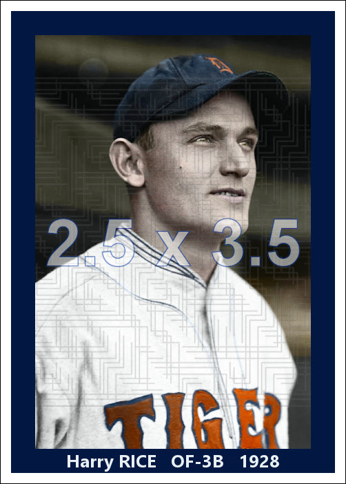 Harry Rice - 1928 Detroit Tigers - choose a size & style