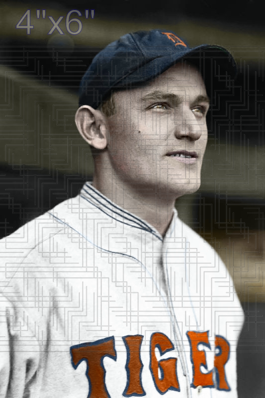 Harry Rice - 1928 Detroit Tigers - choose a size & style