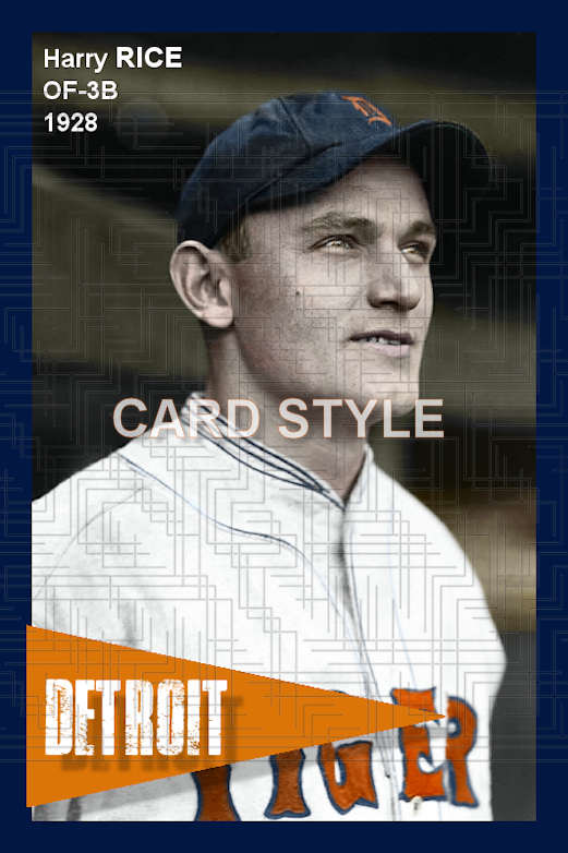 Harry Rice - 1928 Detroit Tigers - choose a size & style