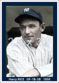 Harry Rice - 1930 New York Yankees - choose a size & style