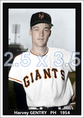 Harvey Gentry - 1954 New York Giants - choose a size & style