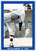 Harvey Green - 1935 Brooklyn Dodgers - choose a size & style
