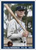 Harvey Hendrick - 1925 Cleveland Indians - choose a size & style
