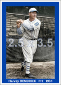 Harvey Hendrick - 1931 Brooklyn Robins - choose a size & style