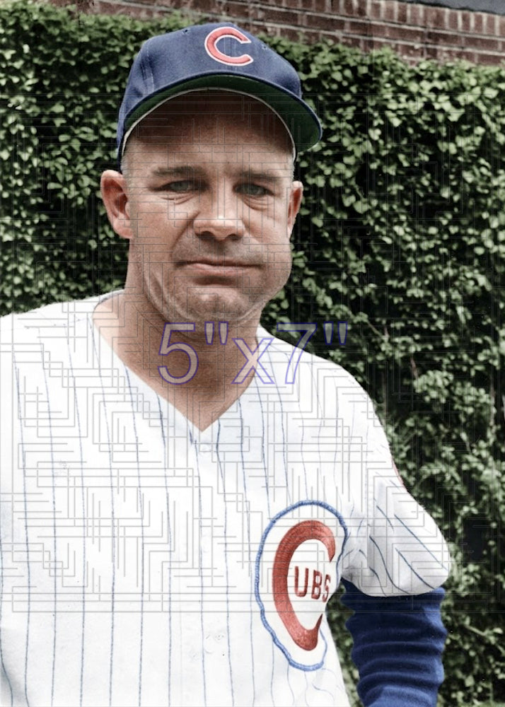 Harvey Kuenn - 1965 Chicago Cubs - choose a size & style