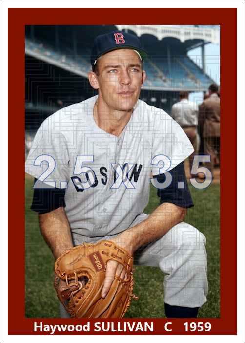 Haywood Sullivan - 1959 Boston Red Sox - choose a size & style