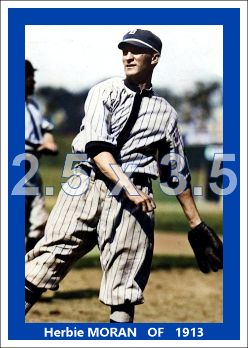 Herbie Moran - 1913 Brooklyn Dodgers - choose a size & style