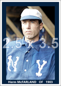 Herm McFarland - 1903 New York Highlanders- choose a size & style