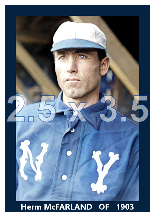 Herm McFarland - 1903 New York Highlanders- choose a size & style