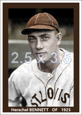 Herschel Bennett - 1925 St. Louis Browns - choose a size & style