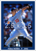 Hideo Nomo - 2002 Los Angeles Dodgers - choose a size & style