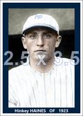 Hinkey Haines - 1923 New York Yankees - choose a size & style