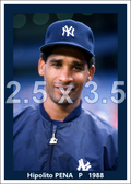 Hipolito Pena - 1988 New York Yankees - choose a size & style
