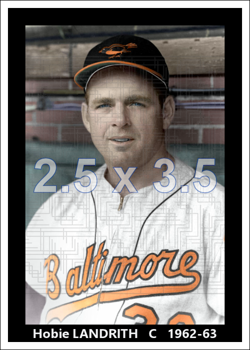 Hobie Landrith - 1962-63 Baltimore Orioles - choose a size & style