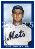 Hobie Landrith - 1962 New York Mets - choose a size & style