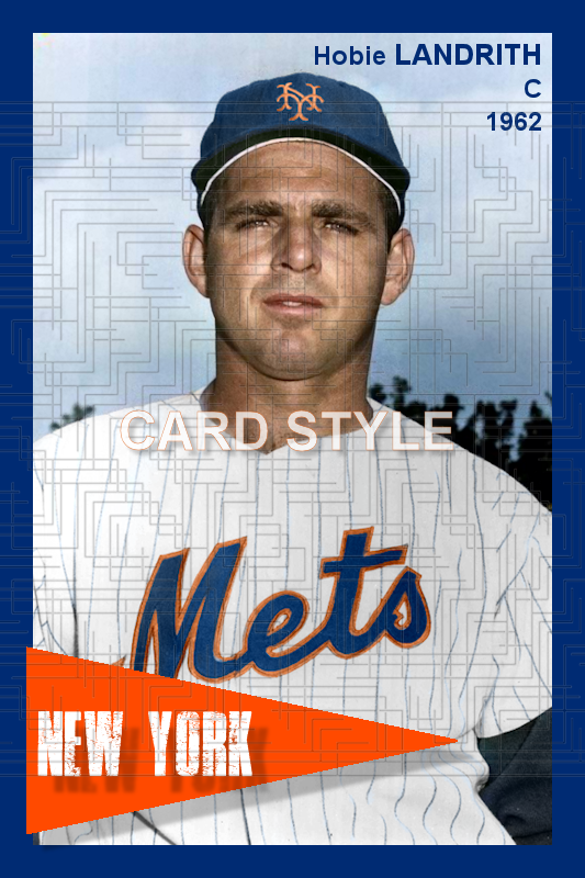 Hobie Landrith - 1962 New York Mets - choose a size & style
