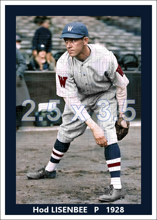 Hod Lisenbee - 1928 Washington Senators - choose a size & style
