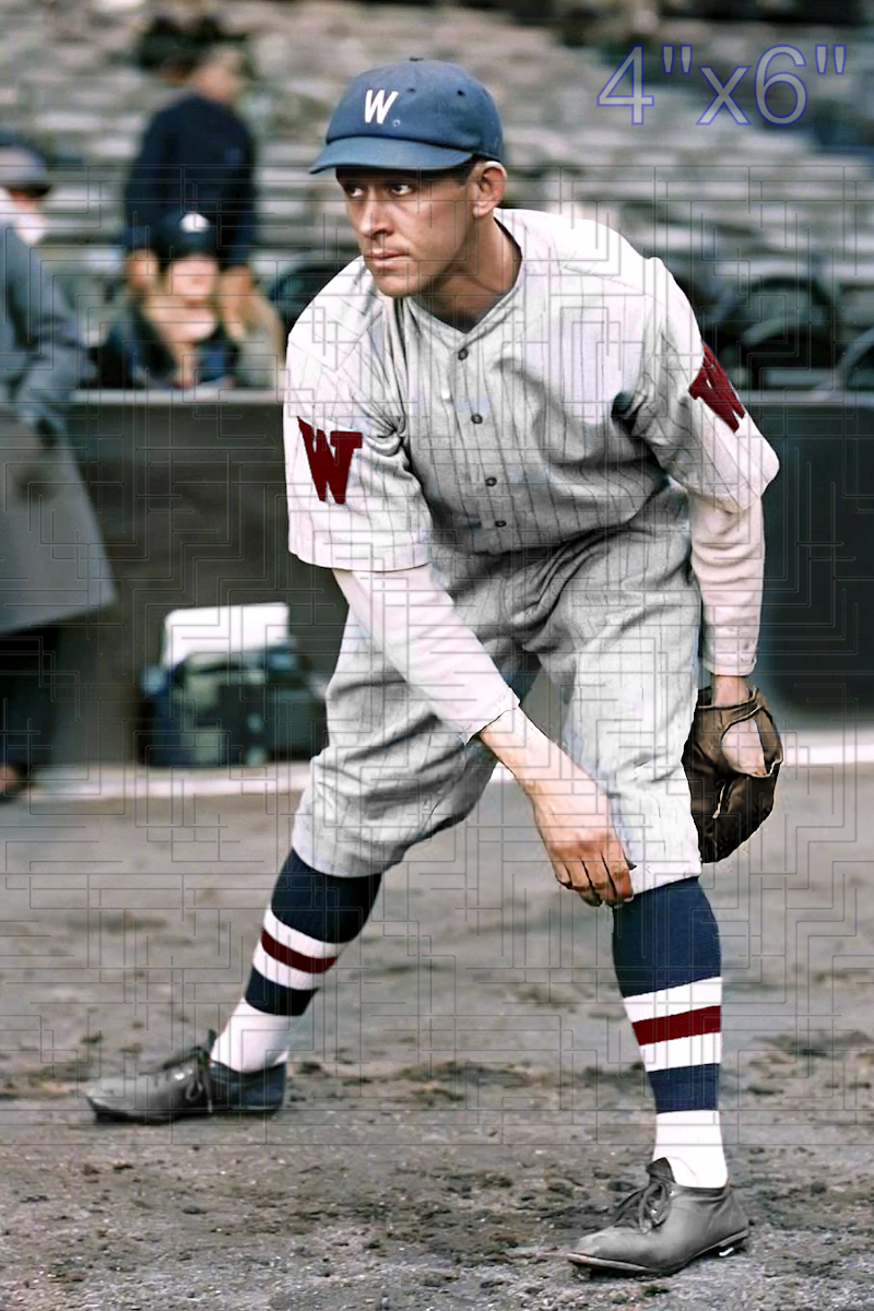 Hod Lisenbee - 1928 Washington Senators - choose a size & style