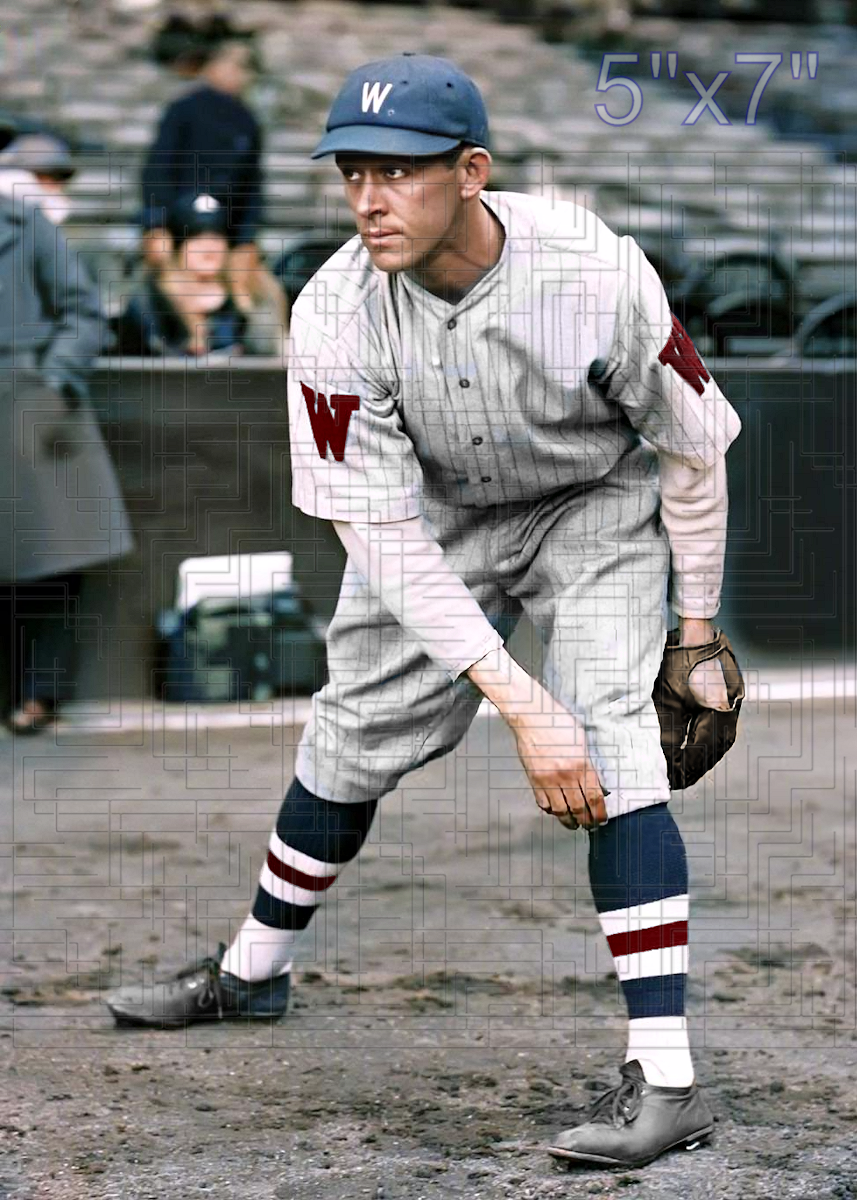 Hod Lisenbee - 1928 Washington Senators - choose a size & style