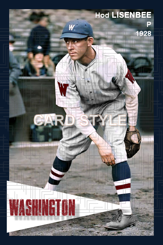 Hod Lisenbee - 1928 Washington Senators - choose a size & style