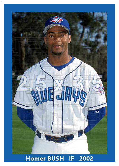 Homer Bush - 2002 Toronto Blue Jays - choose a size & style