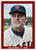 Howie Reed - 1966 California Angels - choose a size & style