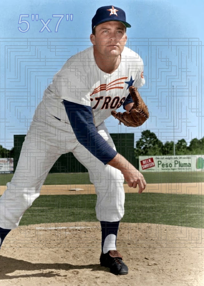 Howie Reed - 1967 Houston Astros - choose a size & style