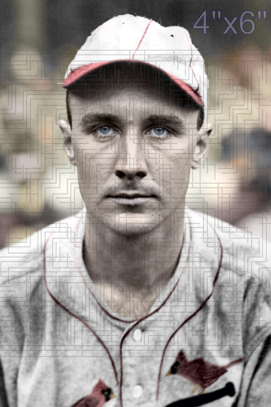 Howie Williamson - 1928 St. Louis Cardinals - choose a size & style