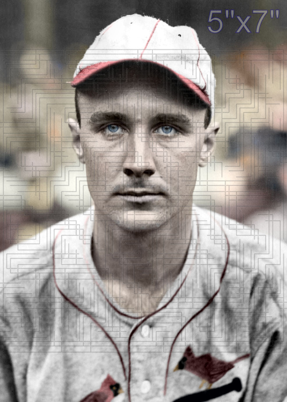 Howie Williamson - 1928 St. Louis Cardinals - choose a size & style