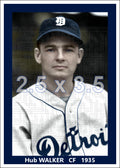 Hub Walker - 1935 Detroit Tigers - choose a size & style