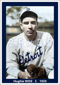 Hughie Wise - 1930 Detroit Tigers - choose a size & style