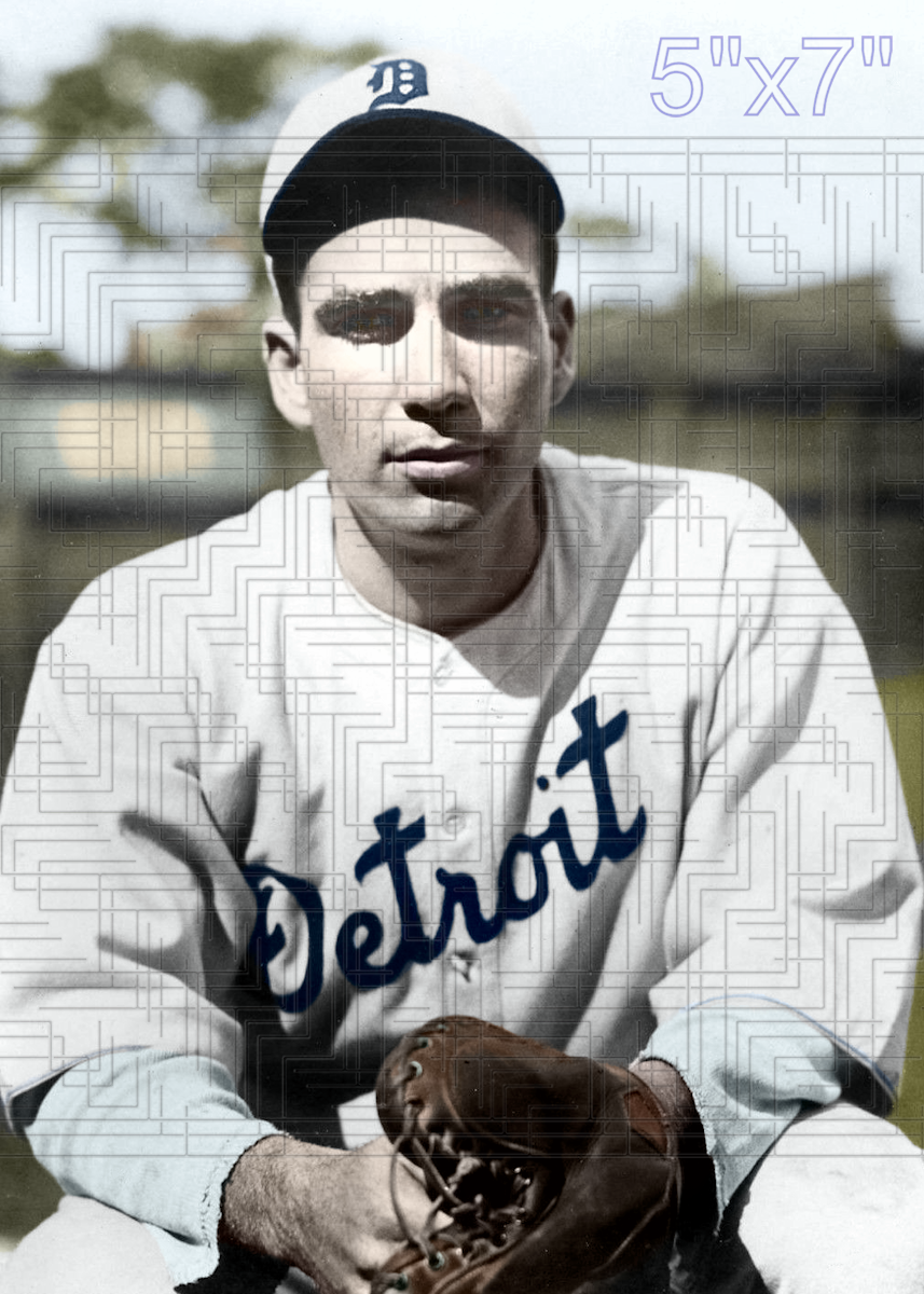 Hughie Wise - 1930 Detroit Tigers - choose a size & style