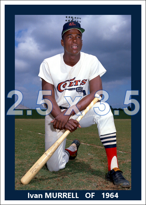 Ivan Murrell - 1964 Houston Colt .45s - choose a size & style