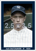 Jack Saltzgaver - 1934 New York Yankees - choose a size & style