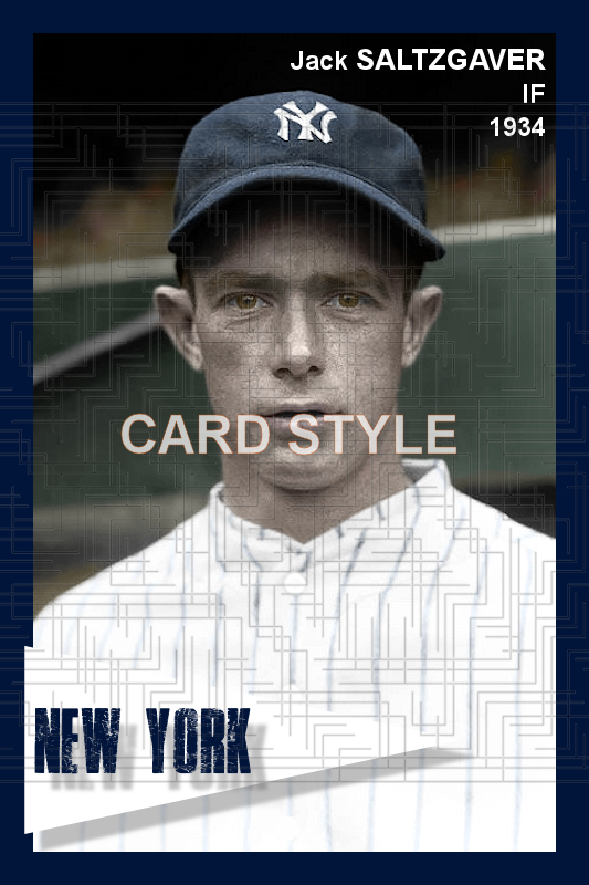 Jack Saltzgaver - 1934 New York Yankees - choose a size & style