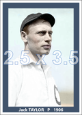Jack Taylor - 1906 Chicago Cubs - choose a size & style
