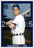 Jackie Moore - 1965 Detroit Tigers - choose a size & style