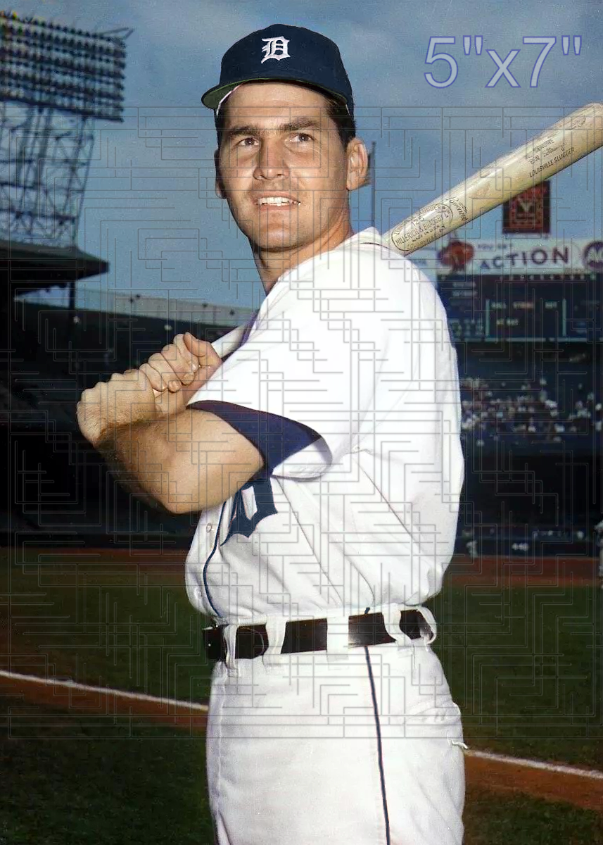 Jackie Moore - 1965 Detroit Tigers - choose a size & style