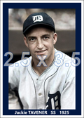 Jackie Tavener - 1925 Detroit Tigers - choose a size & style