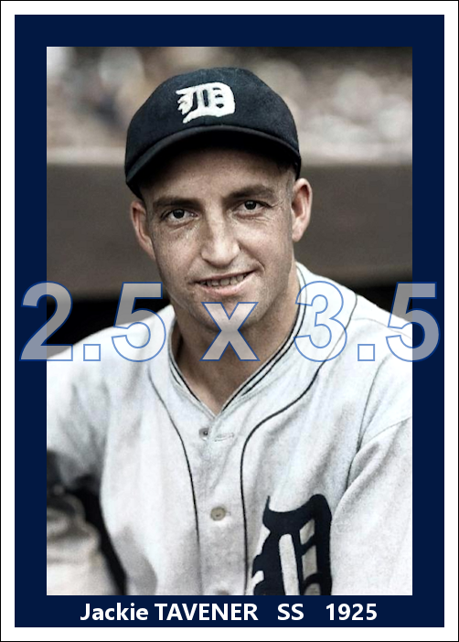 Jackie Tavener - 1925 Detroit Tigers - choose a size & style