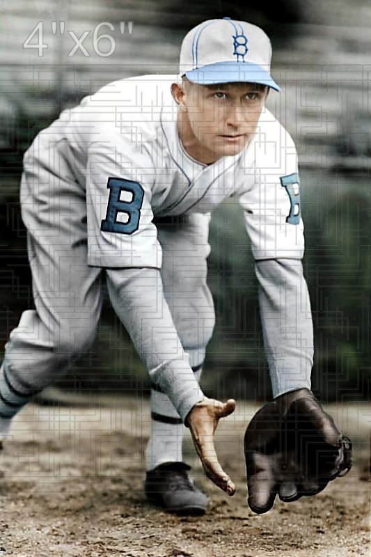 Jake Flowers - 1931 Brooklyn Robins - choose a size & style