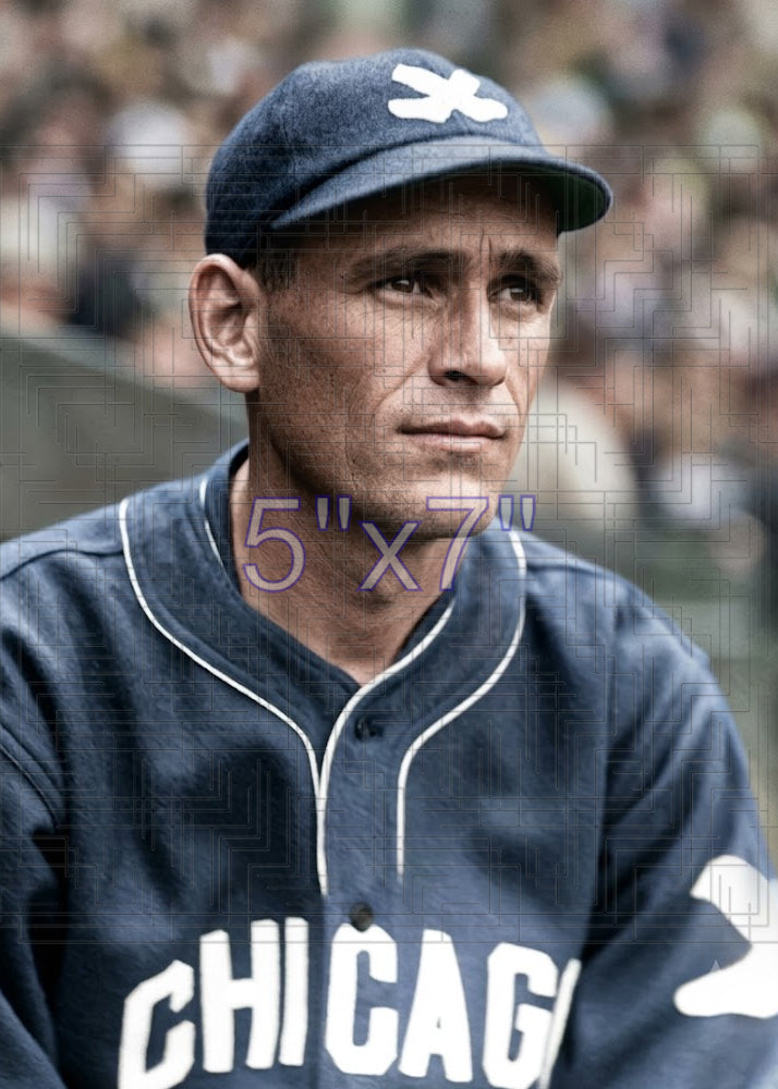 James Edwards - 1926 Chicago White Sox - choose a size & style