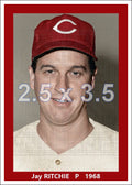 Jay Ritchie - 1968 Cincinnati Reds - choose a size & style