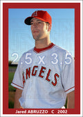 Jared Abruzzo - 2002 Anaheim Angels - choose a size & style
