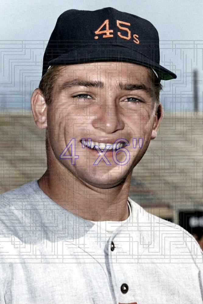 Jay Dahl - 1963 Houston Colt .45s - choose a size & style